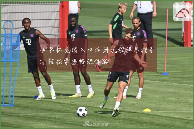 世界杯竞猜入口注册流程详尽指引：轻松掌握畅玩体验