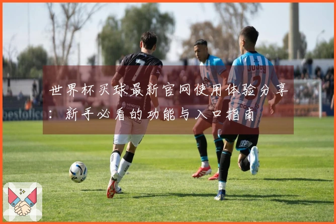 世界杯买球最新官网使用体验分享:新手必看的功能与入口指南