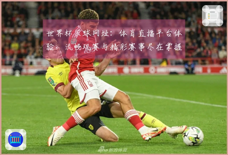 世界杯买球网址：体育直播平台体验，流畅观赛与精彩赛事尽在掌握
