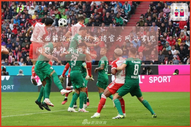 全面解读世界杯竞猜官方网站常见问题及使用指南
