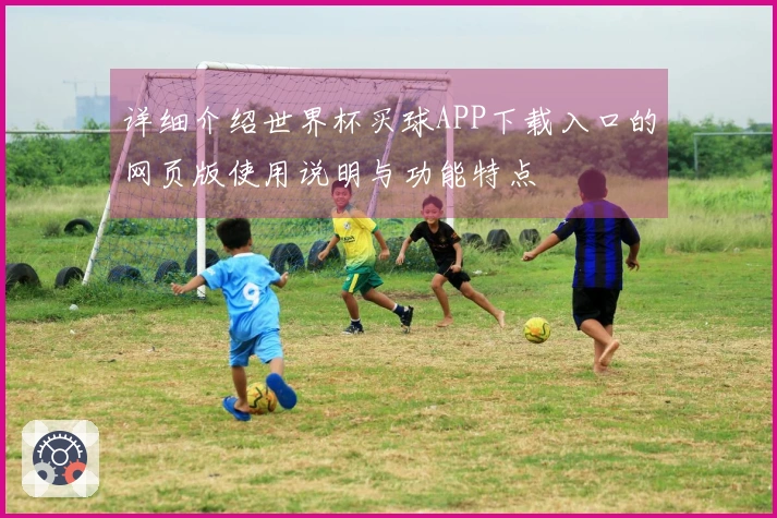 详细介绍世界杯买球APP下载入口的网页版使用说明与功能特点