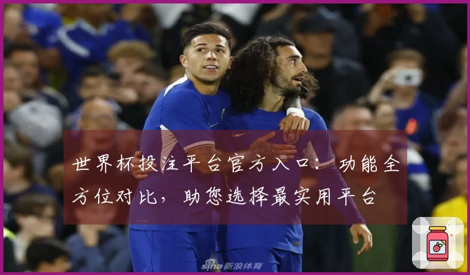 世界杯投注平台官方入口：功能全方位对比，助您选择最实用平台