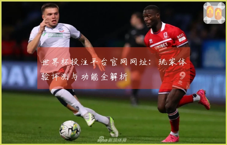 世界杯投注平台官网网址：玩家体验评测与功能全解析
