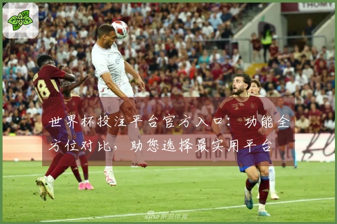 世界杯投注平台官方入口：功能全方位对比，助您选择最实用平台