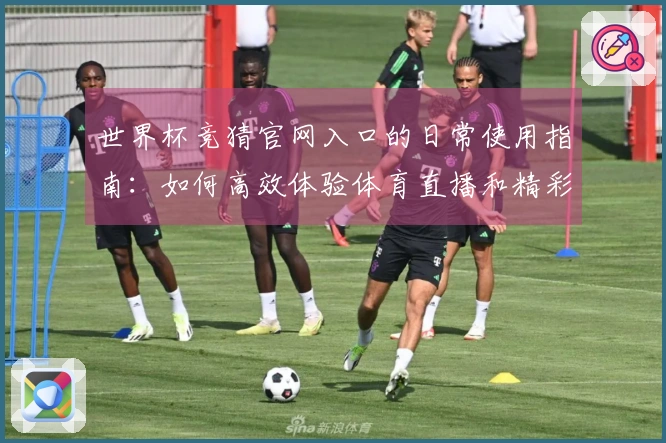 世界杯竞猜官网入口的日常使用指南：如何高效体验体育直播和精彩赛事